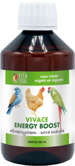 VIVACE ENERGY BOOST 100 ml Vitavogel