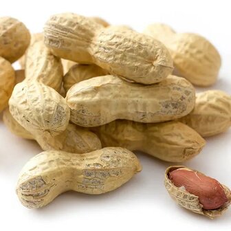 Dop peanuts (monkey nuts) 10 kg