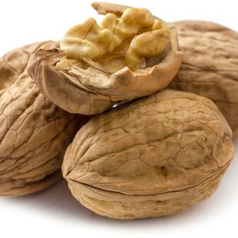 Walnuts in shell 275 grams