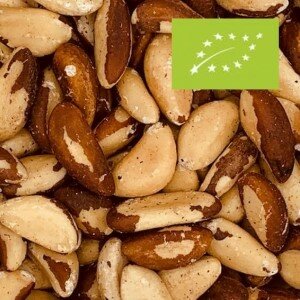 BIO Brazil nuts raw 20 kilo