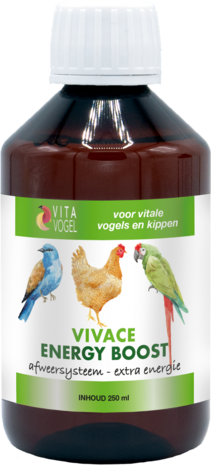 VIVACE ENERGY BOOST 100 ml Vitavogel