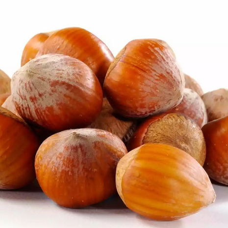 Hazelnuts in shell natural 25 kg